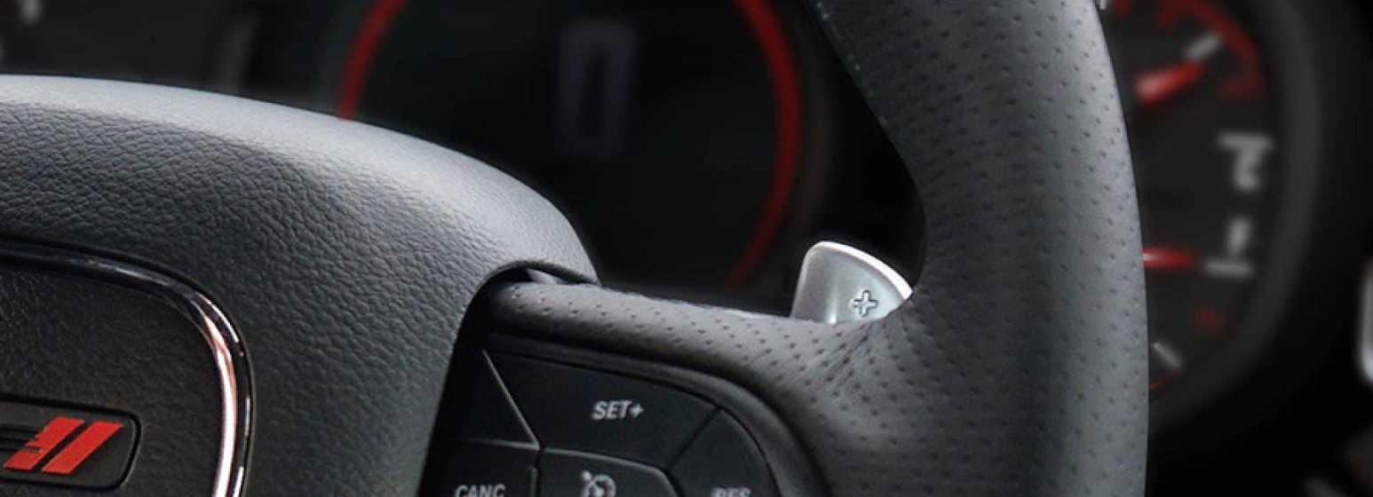 Paddle shifters